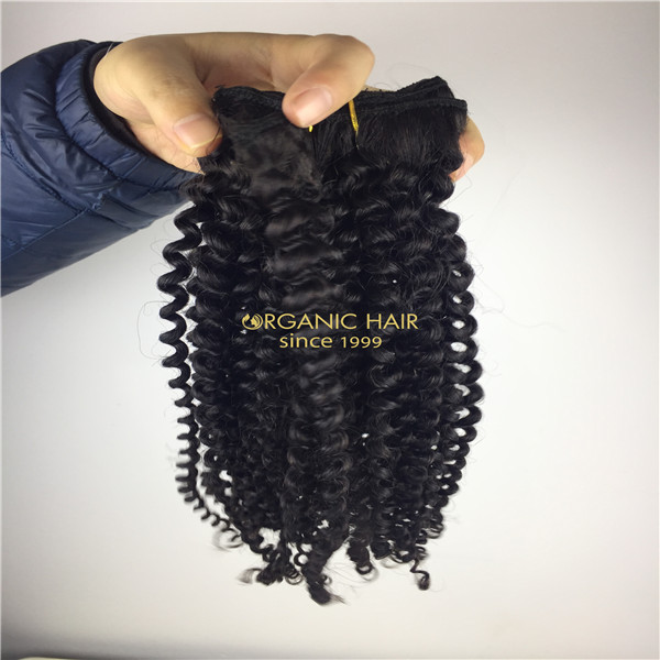 Afro Kinky Curly Clip In Human Hair Extensions Brazilian Virgin Hair 16 Clip Ins 